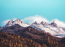 星空体育官方入口-奇才总经理：比尔和球队忠于彼此 他从未提出交易