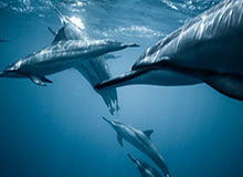 星空体育-中超保级战成武汉石家庄宿命轮回：谁能突围成功？